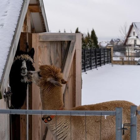 Caloroczne Domki Goralskie Kluszkowce-Czorsztyn Dış mekan fotoğraf